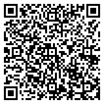 Merchant9 QR Code Agent