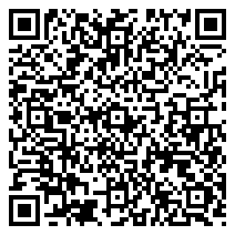 Merchant9 QR Code Agent